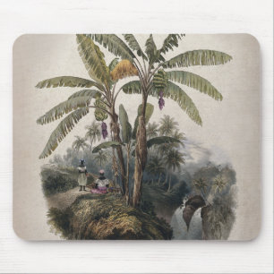 Antique Tropical Banana Träd Forest   Vintage Bota Musmatta