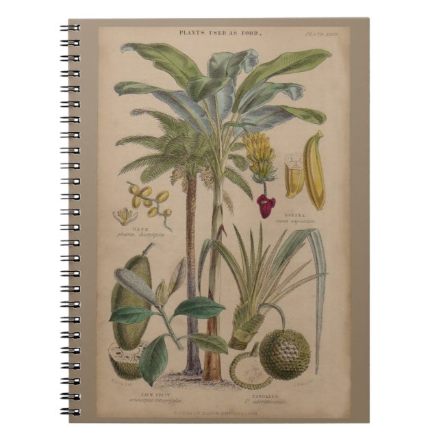 Antique Tropical Handflatan Fruit Botanical Anteckningsbok Med Spiral (Framsidan)