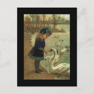 Antique Victorian Birding Trumpeter Svanar Bird PC Vykort