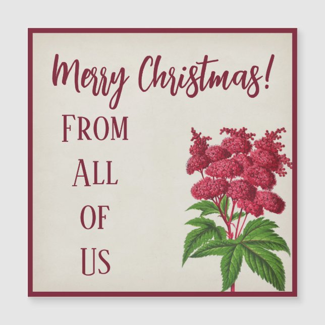 Antique Vintage jul Red Spiraea Palmata (Framsida)