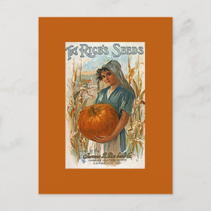 Antique Vintage Ris Garden Pumpkin Seeds PCs Helg Vykort
