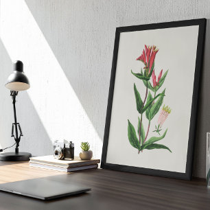 Antique Watercolor Botanical Print Poster
