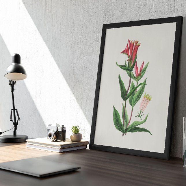 Antique Watercolor Botanical Print Poster (Antique Watercolor Botanical Print)