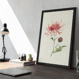 Antique Watercolor Botanical Print Poster