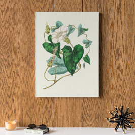 Antique Watercolor Botanical Print Poster