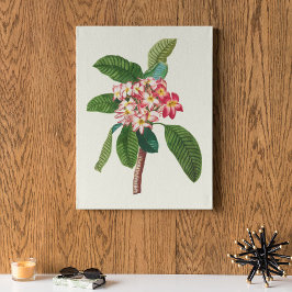 Antique Watercolor Botanical Print Poster