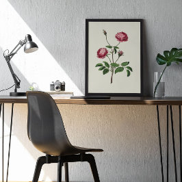 Antique Watercolor Botanical Print Poster