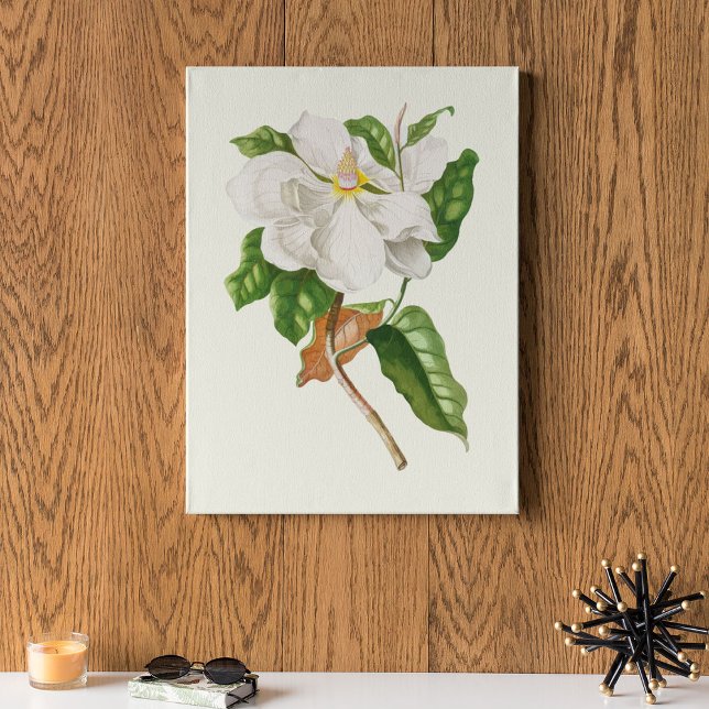 Antique Watercolor Botanical Print Poster (Antique Watercolor Botanical Print)