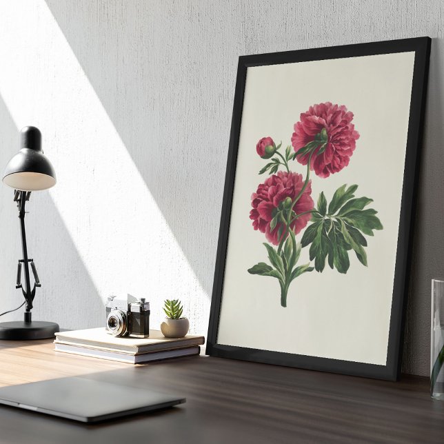 Antique Watercolor Botanical Print Poster (Antique Watercolor Botanical Print)