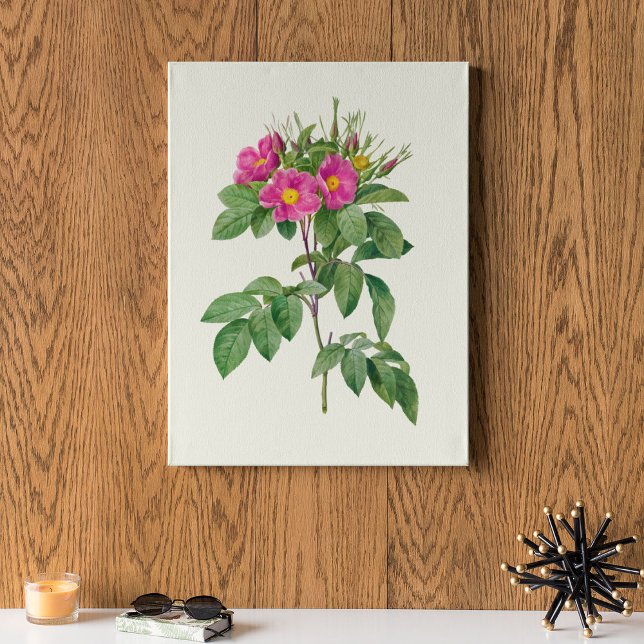 Antique Watercolor Botanical Print Poster (Antique Watercolor Botanical Print)