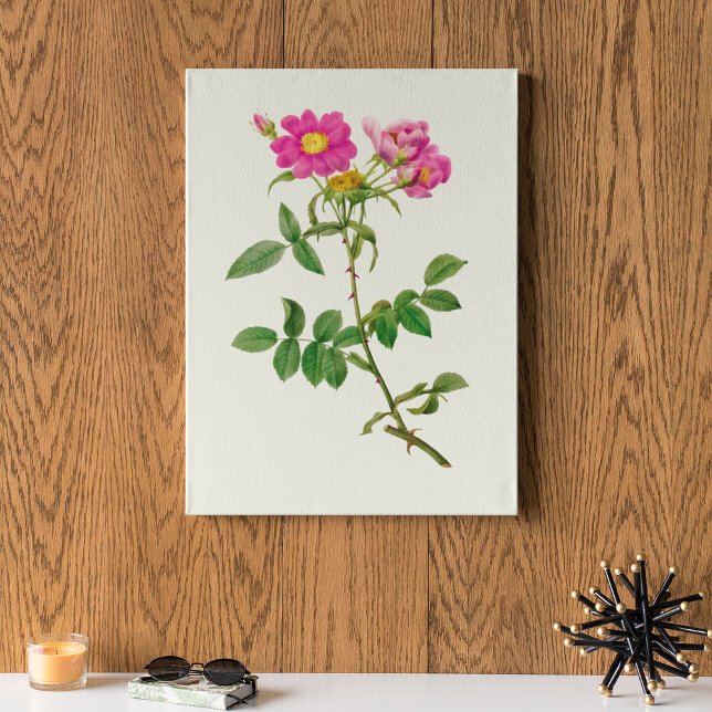 Antique Watercolor Botanical Print Poster (Antique Watercolor Botanical Print)
