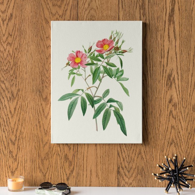 Antique Watercolor Botanical Print Poster (Antique Watercolor Botanical Print)
