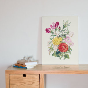 Antique Watercolor Botanical Print Poster