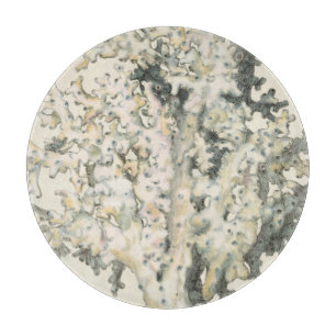Antique Watercolor Coral