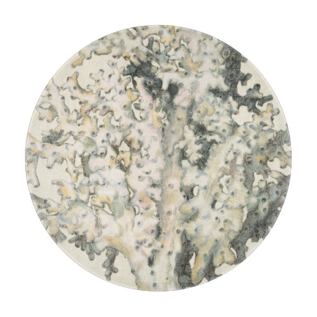 Antique Watercolor Coral (Framsidan)