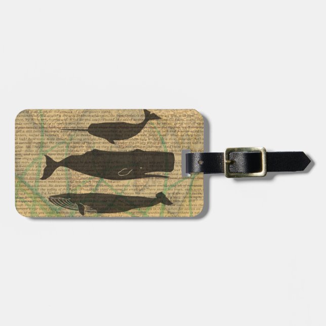 Antique Whale Nautical Sea Life Bagagebricka (Horisontell Framsida)