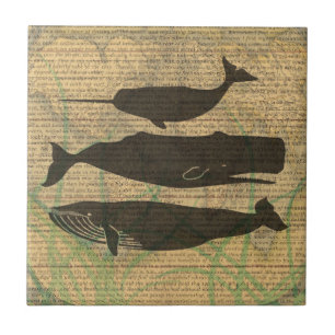 Antique Whale Nautical Sea Life Kakelplatta