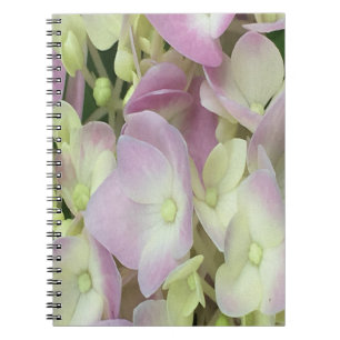Antique White and Dusty Rosa Hydrangea Petals Anteckningsbok
