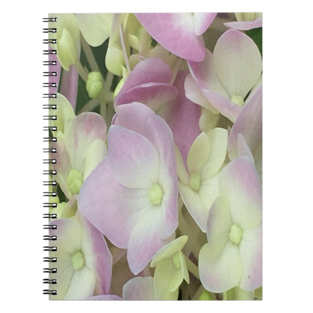Antique White and Dusty Rosa Hydrangea Petals Anteckningsbok (Framsidan)