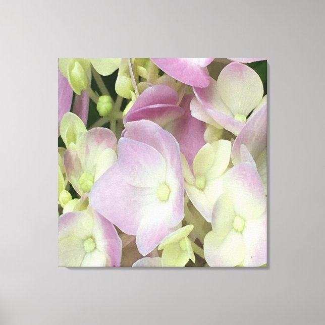 Antique White and Dusty Rosa Hydrangea Petals Canvastryck (Framsida)