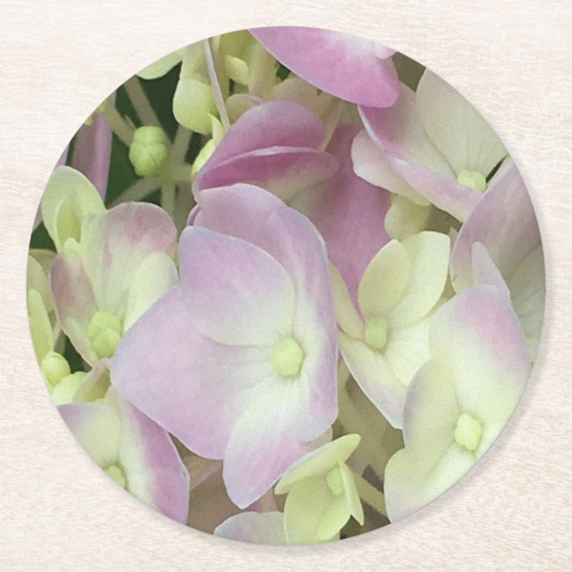 Antique White and Dusty Rosa Hydrangea Petals Underlägg Papper Rund (Framsidan)