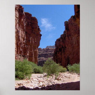 Antiquity-murar Poster