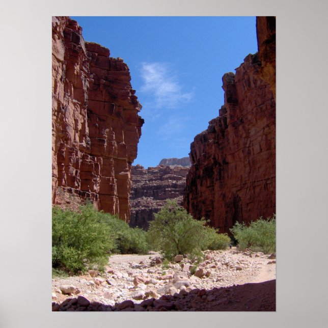 Antiquity-murar Poster (Framsidan)