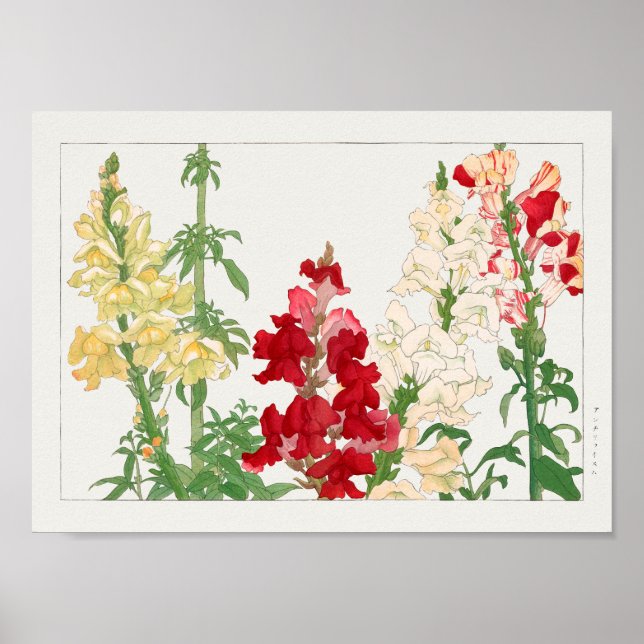 Antirhinum majus av Tanigami Konan Poster (Framsidan)