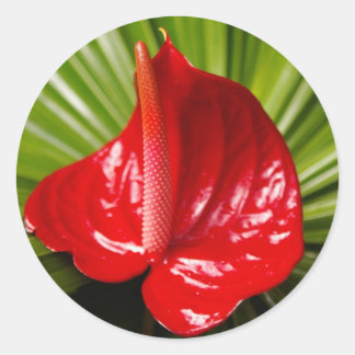 Antirium Runt Klistermärke