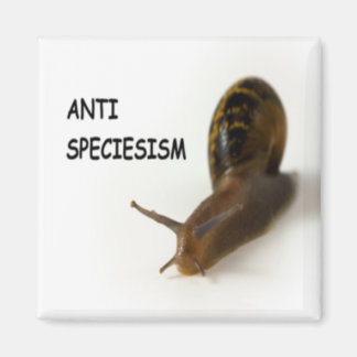 Antispeciesmagnet Magnet