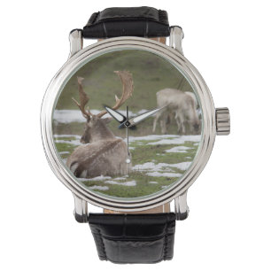 Antler Armbandsur