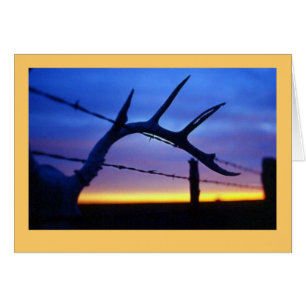 "Antlers #3" Hälsningskort