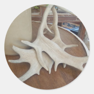 Antlers på Visning Runt Klistermärke