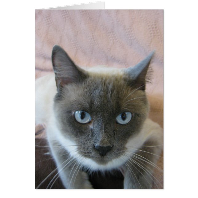 Antogs 144 hälsningskort (Framsidan)