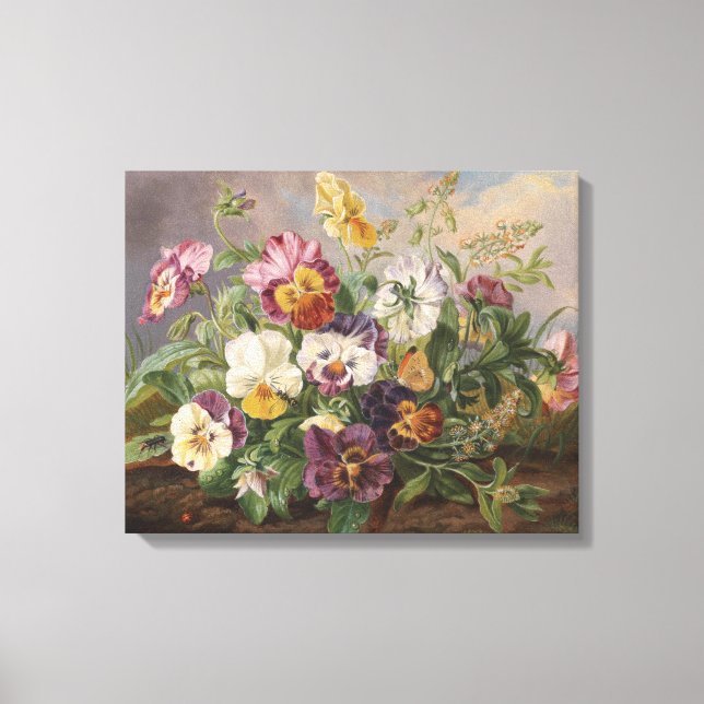 Anton Mollis Vintage Pansy Canvastryck (Framsida)