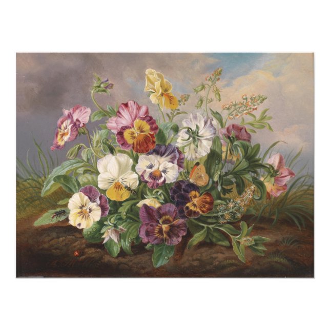 Anton Mollis Vintage Pansy Fototryck (Framsidan)