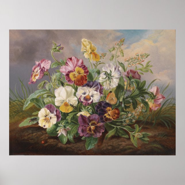 Anton Mollis Vintage Pansy Poster (Framsidan)