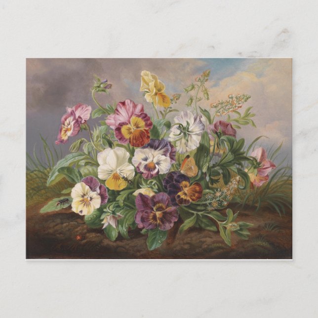 Anton Mollis Vintage Pansy Vykort (Framsida)