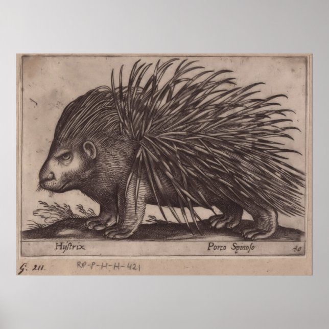 Antonio Tempesta - Stekelvarken - Porco Spinoso Poster (Framsidan)