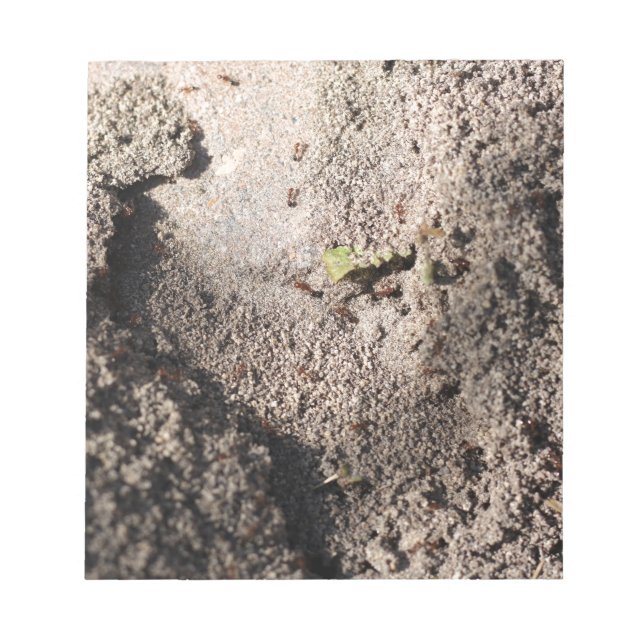 Ants Go Marching Anteckningsblock (Framsida)
