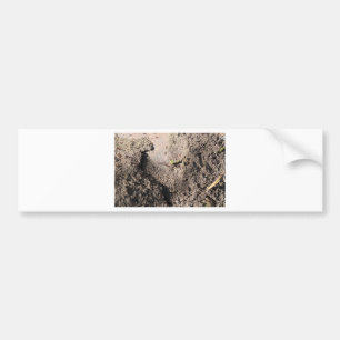 Ants Go Marching Bildekal