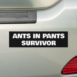 Ants in Byxor Survivor Bildekal