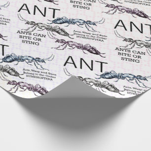 Ants Insekt Kryp Presentpapper