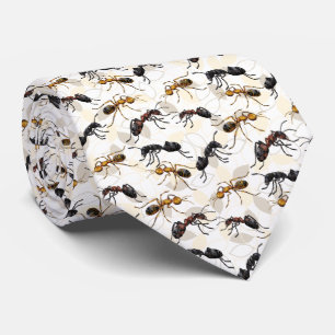 Ants Insektra Kryp Creepy Crawly Creatys Slips