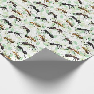 Ants Insektra Kryp Wrapping Papper Presentpapper