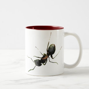 Ants på Min Mugg