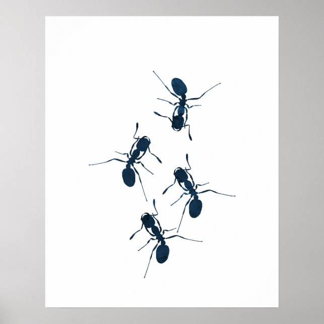 Ants Poster (Framsidan)