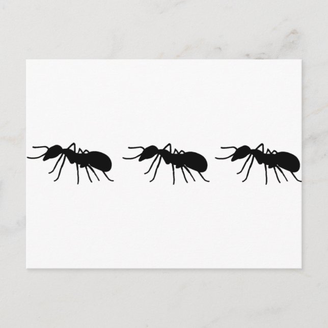 Ants Vykort (Framsida)