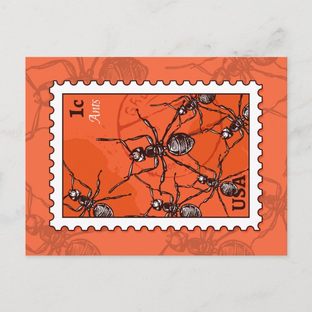 Ants Vykort (Framsida)
