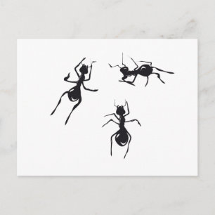 ANTS VYKORT
